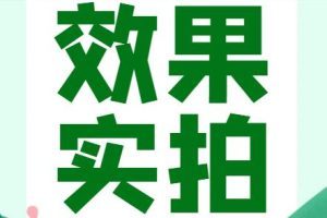 效果图展示